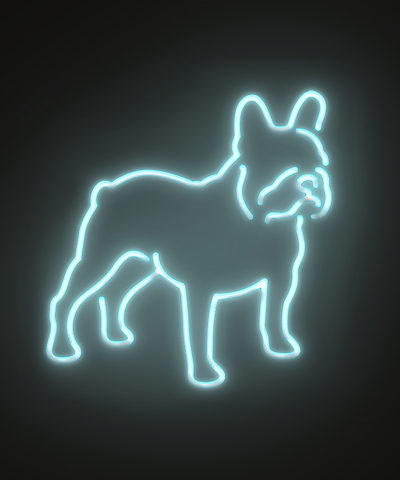 French bulldog Custom Neon Sign | Neon Nights Auckland, New Zealand