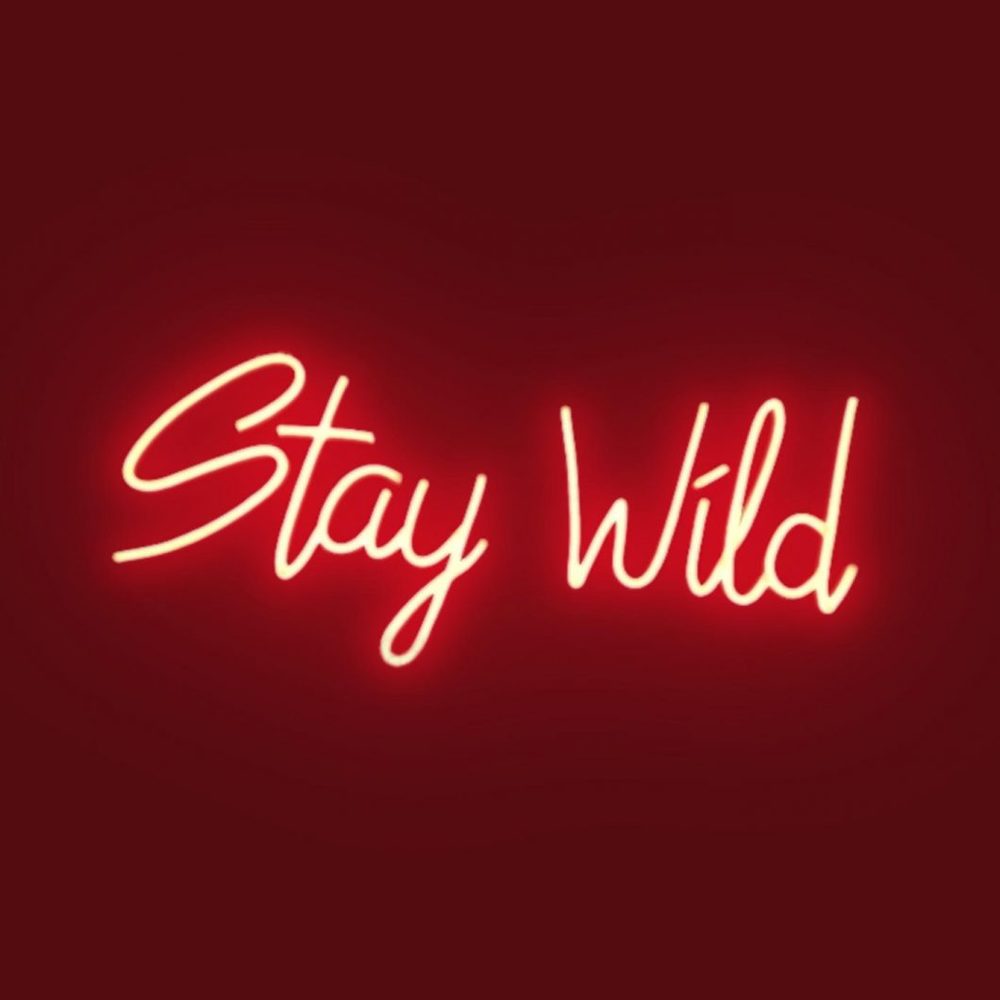 Stay Wild Custom Neon Sign | Neon Nights Auckland, New Zealand