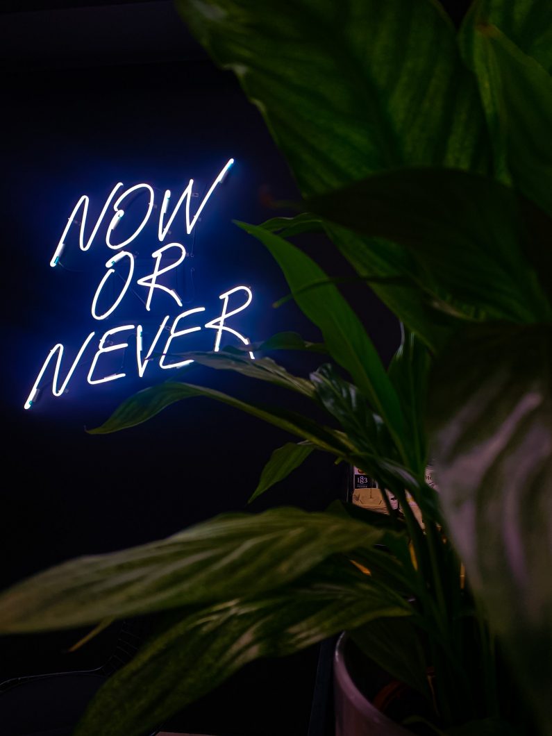 Now or never neon sign
